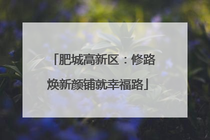 肥城高新区：修路焕新颜铺就幸福路