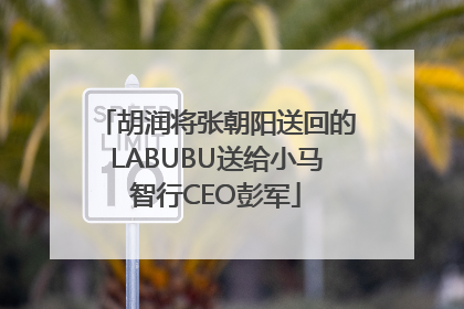 胡润将张朝阳送回的LABUBU送给小马智行CEO彭军