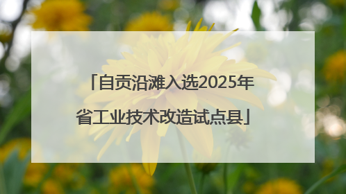自贡沿滩入选2025年省工业技术改造试点县