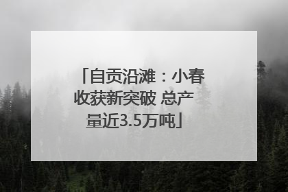自贡沿滩：小春收获新突破 总产量近3.5万吨