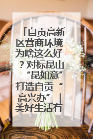 自贡高新区营商环境为啥这么好？对标昆山“昆如意”打造自贡“高兴办”｜美好生活有“盐”味