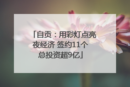 自贡：用彩灯点亮夜经济 签约11个总投资超9亿