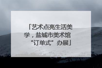 艺术点亮生活美学，盐城市美术馆“订单式”办展