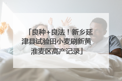 良种+良法！新乡延津县试验田小麦刷新黄淮麦区高产记录
