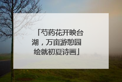 芍药花开映台湖，万亩游憩园绘就初夏诗画