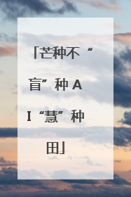 芒种不“盲”种 AI“慧”种田