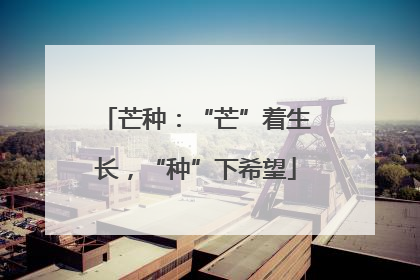 芒种：“芒”着生长，“种”下希望