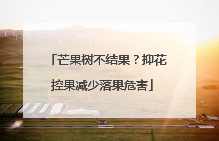 芒果树不结果？抑花控果减少落果危害