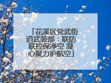 花溪区党武街道武装部：联防联控保净空 凝心聚力护航空