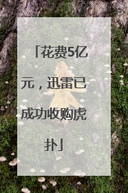 花费5亿元，迅雷已成功收购虎扑