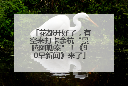 花都开好了，有空来打卡余杭“景腾阿勒泰”！《90早新闻》来了