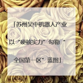 苏州吴中机器人产业以“硬核实力”勾勒“全国第一区”蓝图