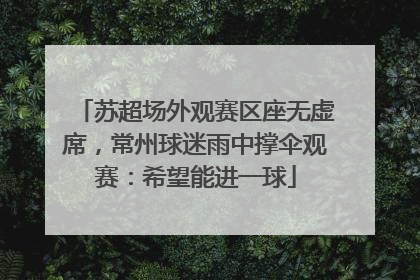 苏超场外观赛区座无虚席，常州球迷雨中撑伞观赛：希望能进一球