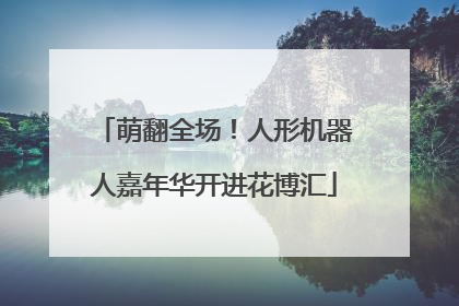 萌翻全场！人形机器人嘉年华开进花博汇