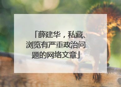 薛建华，私藏、浏览有严重政治问题的网络文章