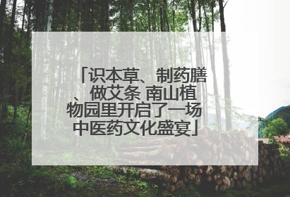 识本草、制药膳、做艾条 南山植物园里开启了一场中医药文化盛宴