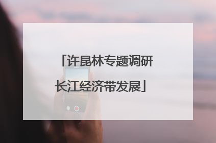 许昆林专题调研长江经济带发展