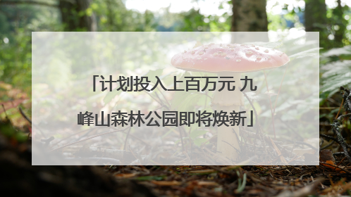 计划投入上百万元 九峰山森林公园即将焕新