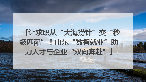 让求职从“大海捞针”变“秒级匹配”！山东“数智就业”助力人才与企业“双向奔赴”