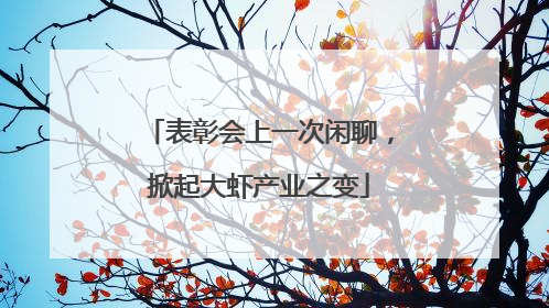 表彰会上一次闲聊，掀起大虾产业之变