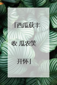 西瓜获丰收 瓜农笑开怀