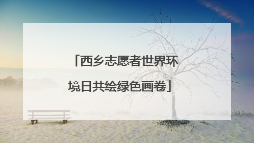 西乡志愿者世界环境日共绘绿色画卷