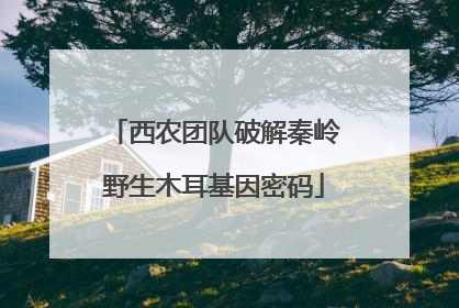 西农团队破解秦岭野生木耳基因密码