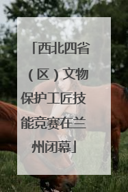 西北四省（区）文物保护工匠技能竞赛在兰州闭幕