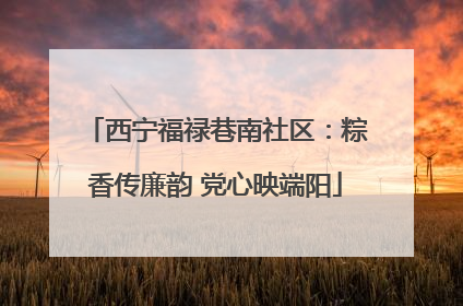 西宁福禄巷南社区：粽香传廉韵 党心映端阳