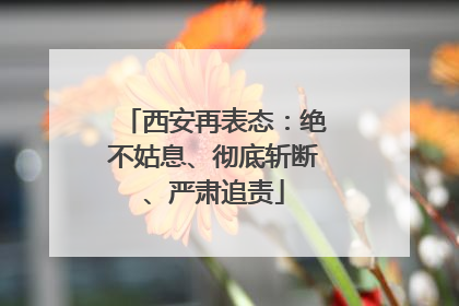 西安再表态：绝不姑息、彻底斩断、严肃追责
