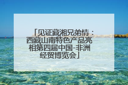见证藏湘兄弟情：西藏山南特色产品亮相第四届中国-非洲经贸博览会