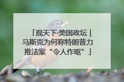观天下·美国政坛｜马斯克为何称特朗普力推法案“令人作呕”
