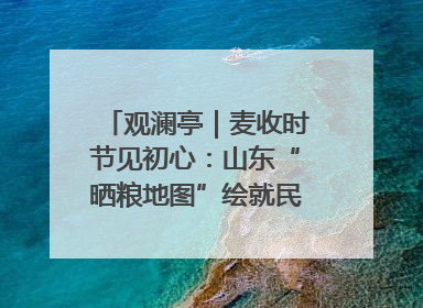 观澜亭｜麦收时节见初心：山东“晒粮地图”绘就民生温暖画卷