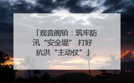 观音阁镇：筑牢防汛“安全堤” 打好抗洪“主动仗”
