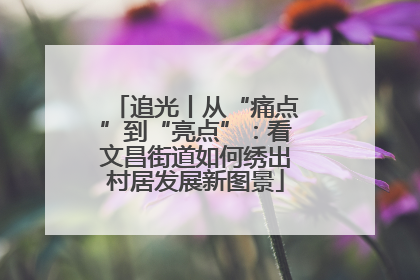 追光丨从“痛点”到“亮点”：看文昌街道如何绣出村居发展新图景