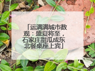 运满满城市数观：盛夏将至，石家庄甜瓜成东北餐桌座上宾
