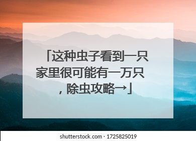 这种虫子看到一只家里很可能有一万只，除虫攻略→