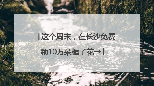 这个周末，在长沙免费领10万朵栀子花→