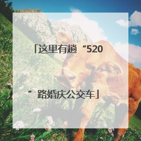 这里有趟“520”路婚庆公交车