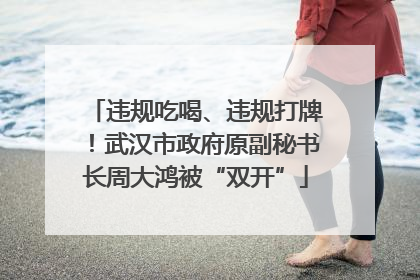 违规吃喝、违规打牌！武汉市政府原副秘书长周大鸿被“双开”