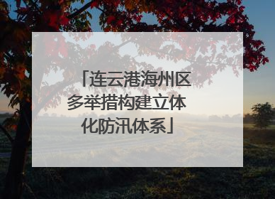 连云港海州区多举措构建立体化防汛体系