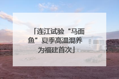 连江试验“马面鱼”夏季高温混养 为福建首次