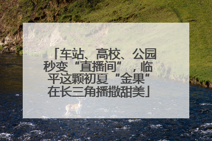 车站、高校、公园秒变“直播间”，临平这颗初夏“金果”在长三角播撒甜美