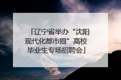 辽宁省举办“沈阳现代化都市圈”高校毕业生专场招聘会