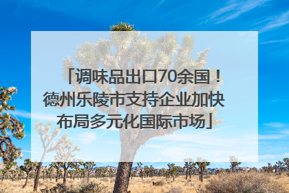 调味品出口70余国！德州乐陵市支持企业加快布局多元化国际市场