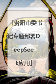 贵阳市委书记专题部署DeepSeek应用
