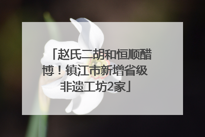 赵氏二胡和恒顺醋博！镇江市新增省级非遗工坊2家