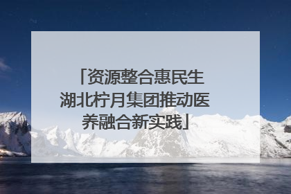 资源整合惠民生 湖北柠月集团推动医养融合新实践