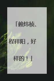 赖炜桢、程祥阳，好样的！