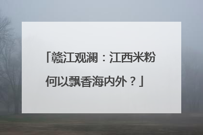 赣江观澜：江西米粉何以飘香海内外？